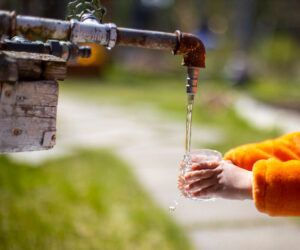 1845 1 e1737990346240